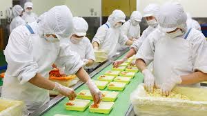 Thông báo tuyển đơn hàng Sản xuất đồ ăn sẵn